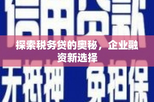 溪口探索税务贷的奥秘，企业融资新选择