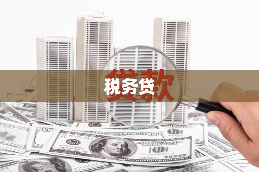 溪口税务贷