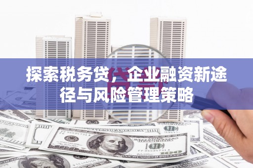 溪口探索税务贷，企业融资新途径与风险管理策略