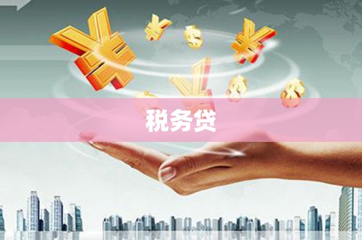 溪口税务贷