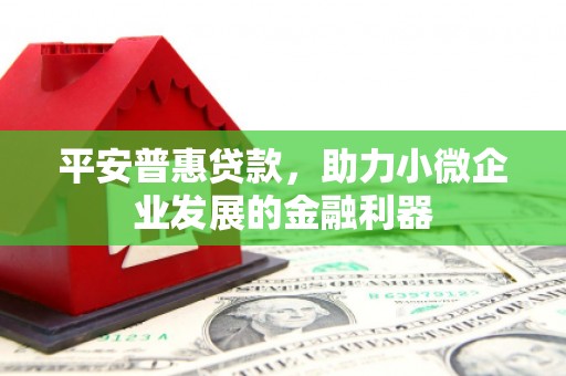 溪口平安普惠贷款，助力小微企业发展的金融利器