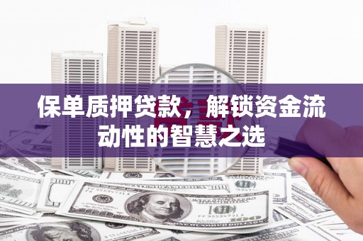 溪口保单质押贷款，解锁资金流动性的智慧之选