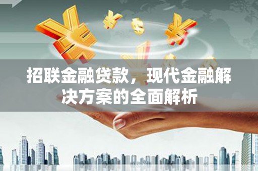 溪口招联金融贷款，现代金融解决方案的全面解析