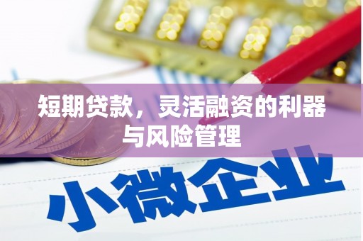 溪口短期贷款，灵活融资的利器与风险管理