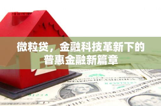 溪口微粒贷，金融科技革新下的普惠金融新篇章