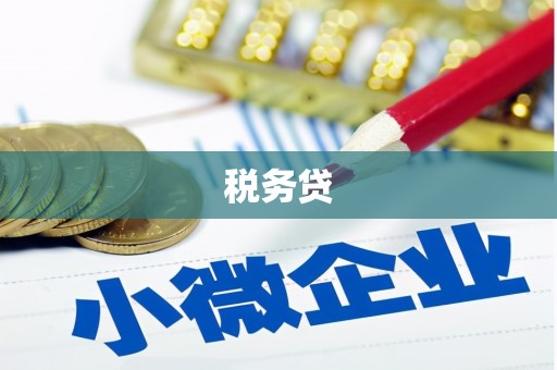 溪口税务贷