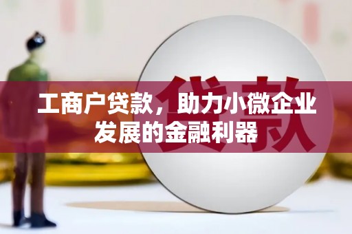 溪口工商户贷款，助力小微企业发展的金融利器