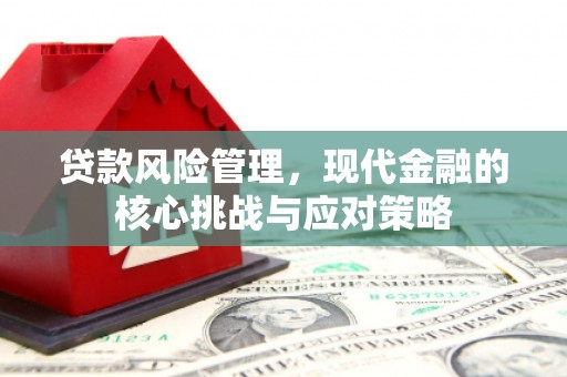 溪口贷款风险管理，现代金融的核心挑战与应对策略