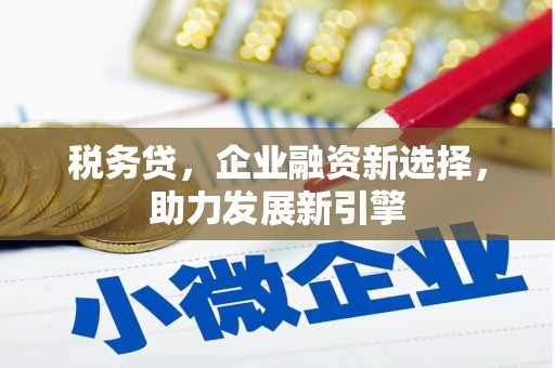 溪口税务贷，企业融资新选择，助力发展新引擎
