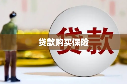 溪口贷款购买保险