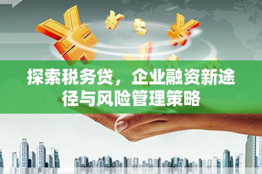 溪口探索税务贷，企业融资新途径与风险管理策略