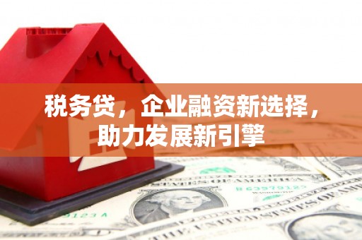 溪口税务贷，企业融资新选择，助力发展新引擎
