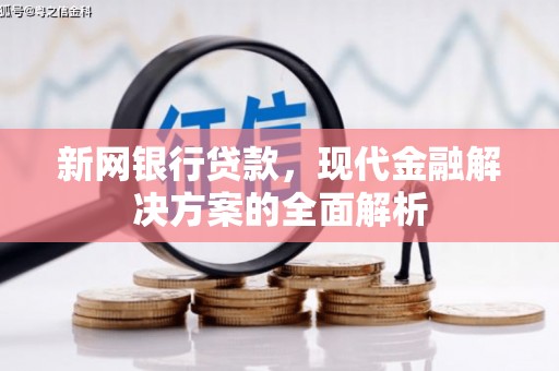溪口新网银行贷款，现代金融解决方案的全面解析