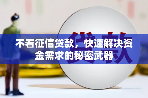 溪口不看征信贷款，快速解决资金需求的秘密武器