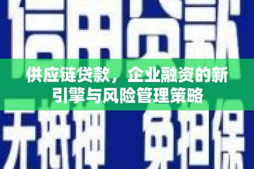 溪口供应链贷款，企业融资的新引擎与风险管理策略