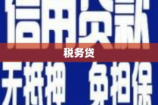 溪口税务贷