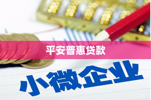 溪口平安普惠贷款