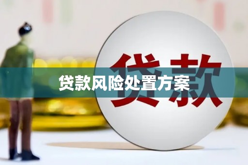 溪口贷款风险处置方案