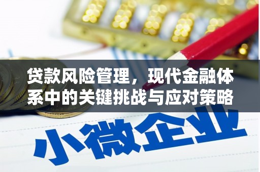 溪口贷款风险管理，现代金融体系中的关键挑战与应对策略