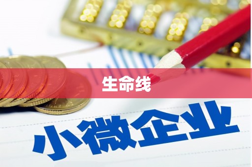 溪口生命线