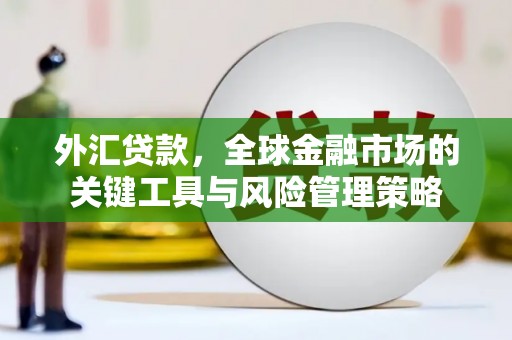溪口外汇贷款，全球金融市场的关键工具与风险管理策略