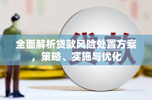 溪口全面解析贷款风险处置方案，策略、实施与优化