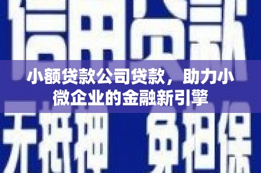 溪口小额贷款公司贷款，助力小微企业的金融新引擎