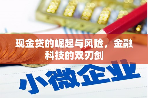 溪口现金贷的崛起与风险，金融科技的双刃剑