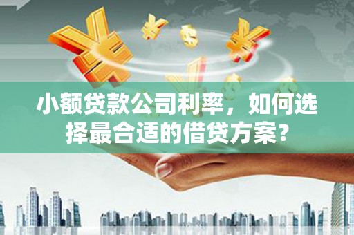 溪口小额贷款公司利率，如何选择最合适的借贷方案？