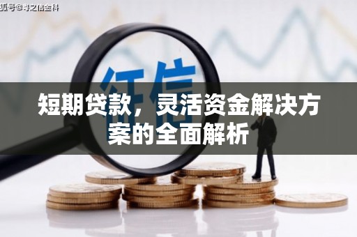 溪口短期贷款，灵活资金解决方案的全面解析