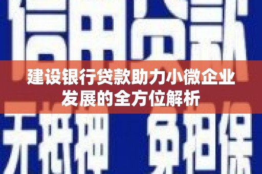 溪口建设银行贷款助力小微企业发展的全方位解析