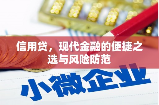 溪口信用贷，现代金融的便捷之选与风险防范