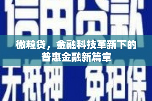 溪口微粒贷，金融科技革新下的普惠金融新篇章