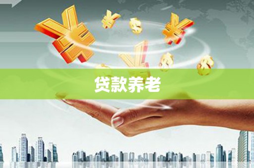 溪口贷款养老