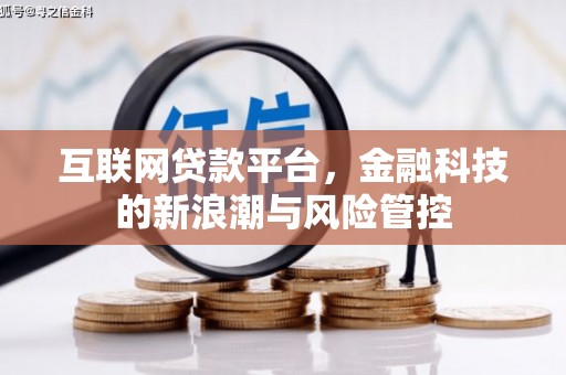 溪口互联网贷款平台，金融科技的新浪潮与风险管控