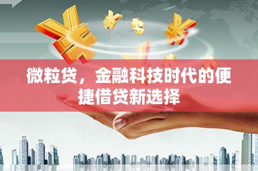 溪口微粒贷，金融科技时代的便捷借贷新选择