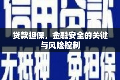 溪口贷款担保，金融安全的关键与风险控制