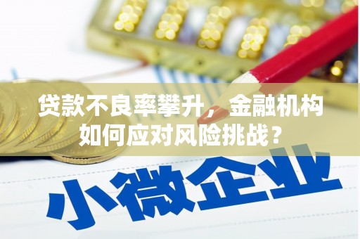 溪口贷款不良率攀升，金融机构如何应对风险挑战？