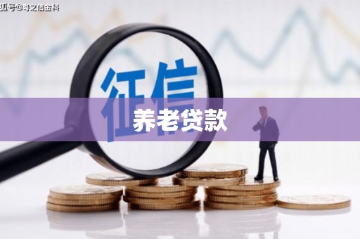 溪口养老贷款