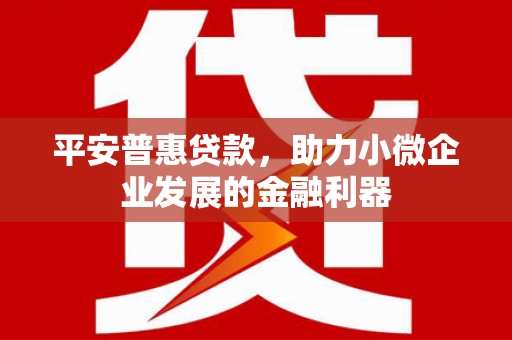 溪口平安普惠贷款，助力小微企业发展的金融利器