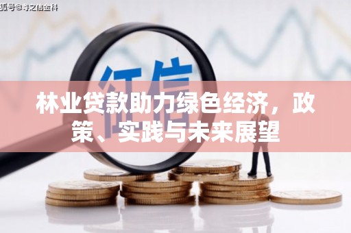 溪口林业贷款助力绿色经济，政策、实践与未来展望