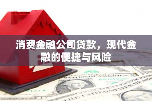 溪口消费金融公司贷款，现代金融的便捷与风险