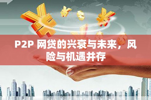 溪口P2P 网贷的兴衰与未来，风险与机遇并存