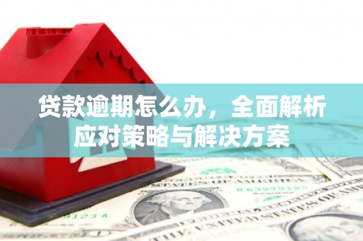 溪口贷款逾期怎么办，全面解析应对策略与解决方案