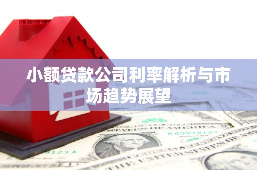 溪口小额贷款公司利率解析与市场趋势展望