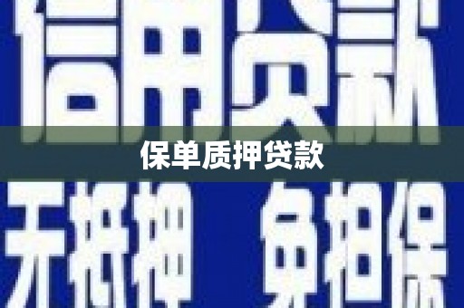 溪口保单质押贷款