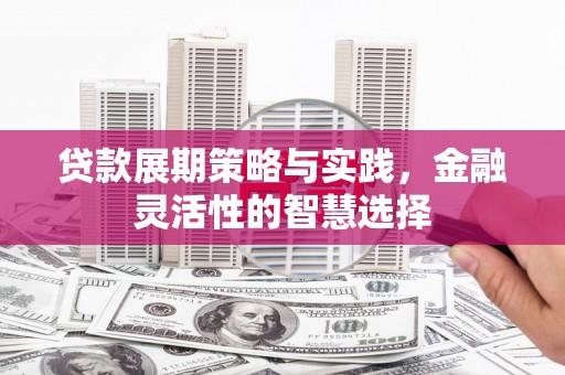 溪口贷款展期策略与实践，金融灵活性的智慧选择