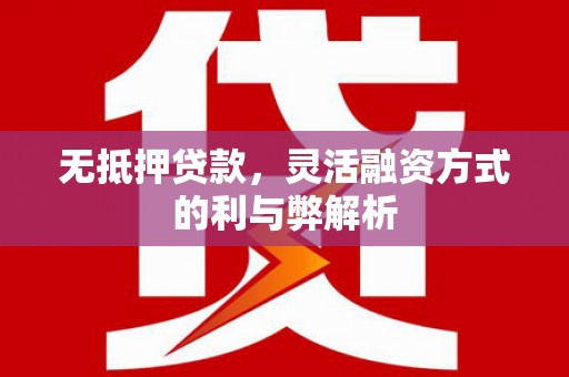 溪口无抵押贷款，灵活融资方式的利与弊解析