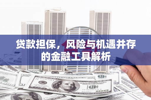 溪口贷款担保，风险与机遇并存的金融工具解析