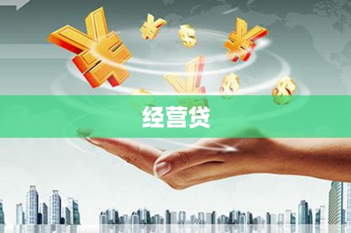 溪口经营贷